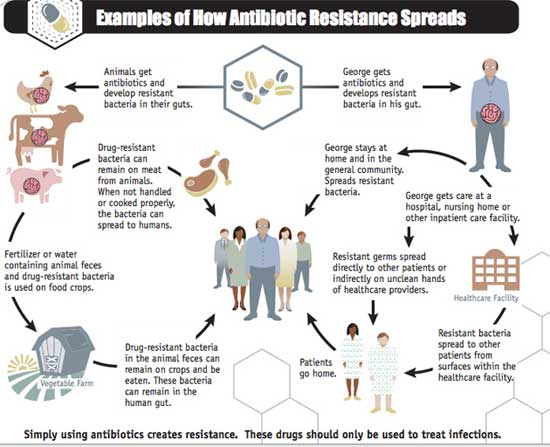 antibiotic-resistance and gut health